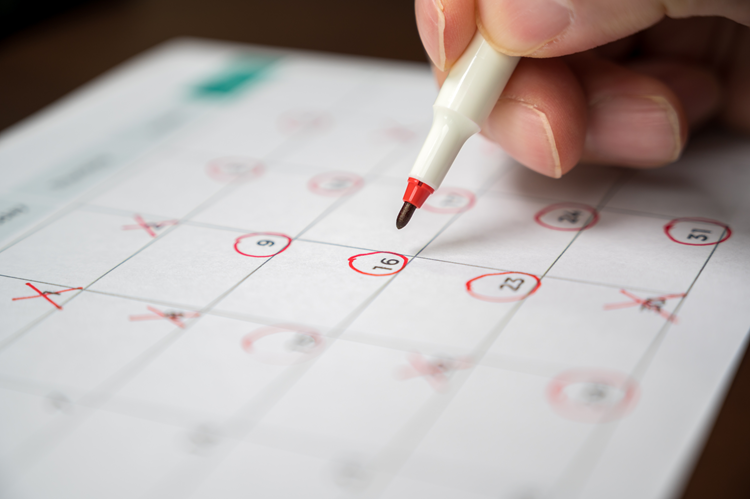 Work Schedule