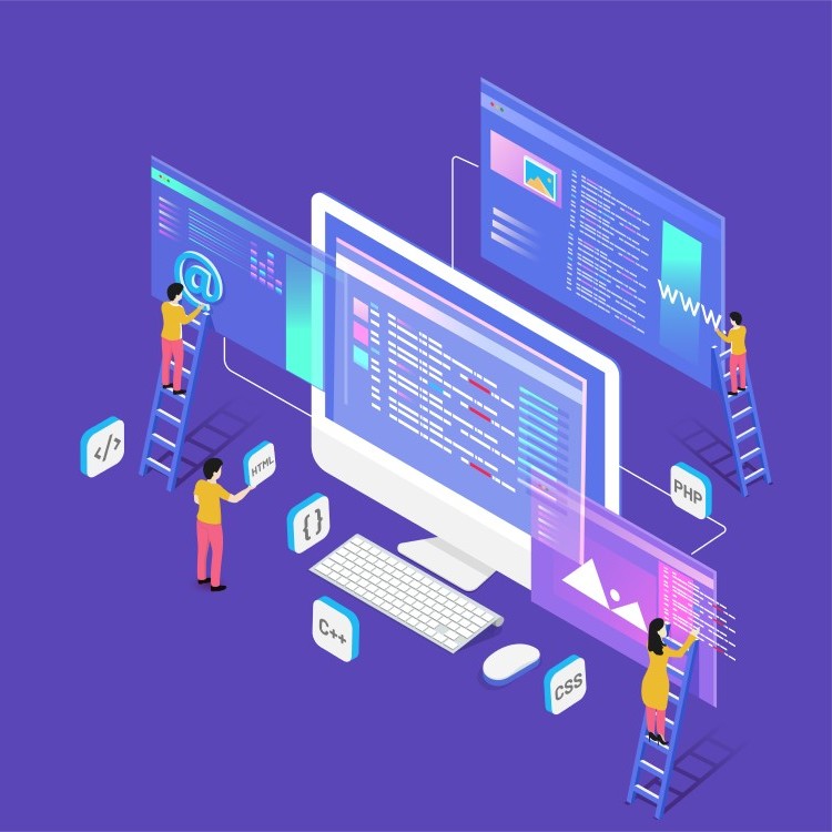 Web development