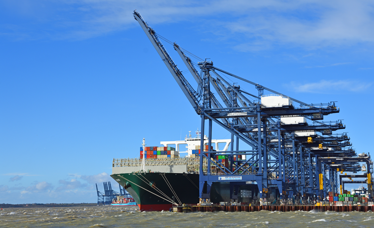 Ship Containers Yard