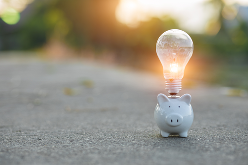 Piggy Bank Bulb