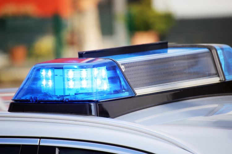 Police Light